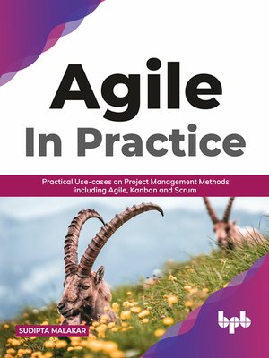 cover image of AGILE in Practice